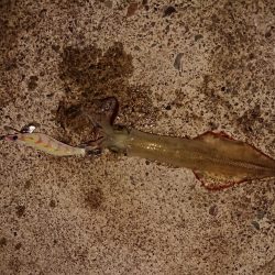 かなりのウネリの中で